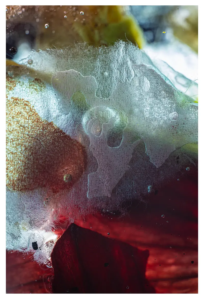 andreaspeters.art 1698 Tender andreaspeters.art #6465 Slow Lightbox Full