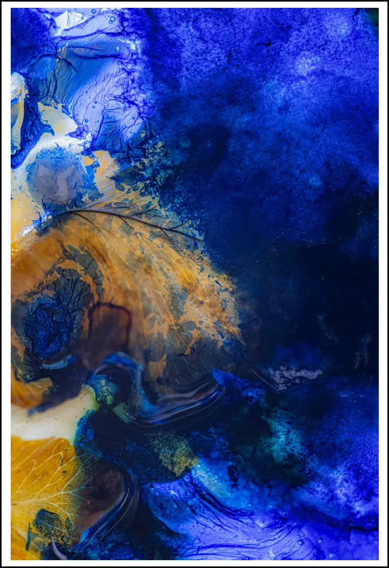 andreaspeters.art 8028 Organic Tides Organic Tides